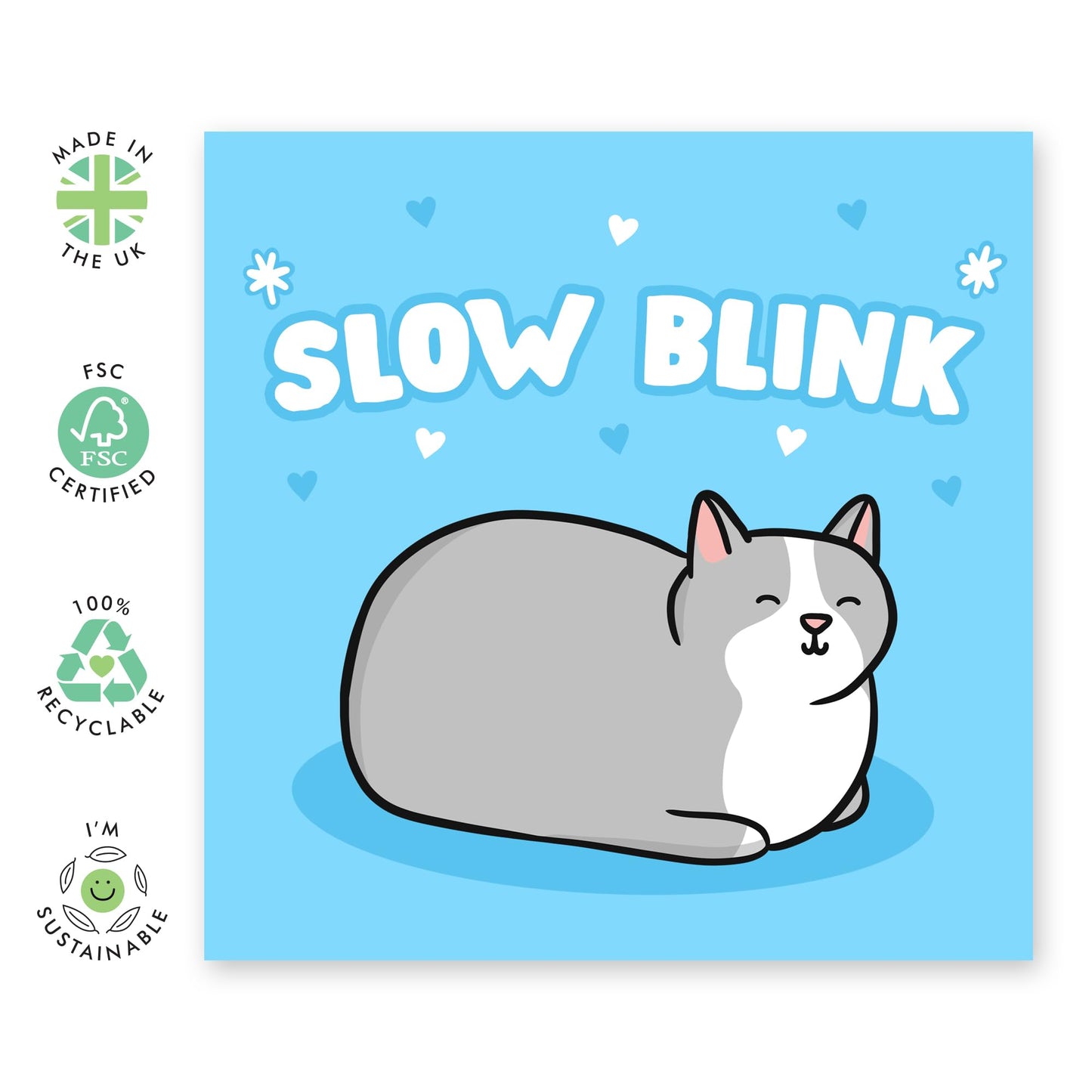 Birthday Card Boys Girls - Slow Blink Cat - Birthday Greeting Card For Teens - Birthday Gifts For Animal Lovers - Birthday Card For Friends - Comes With Fun Stickers By Central 23