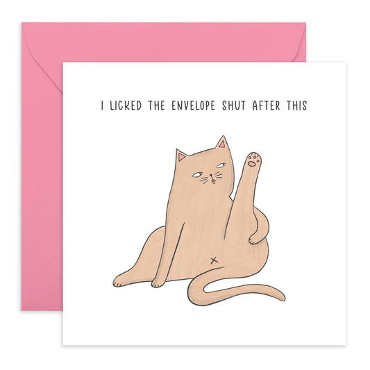 Funny Birthday Card For Men And Women - I Licked The Envelope Shut After This - Cat Birthday Card For Him Her Friends - Humorous Card From Pet - Comes With Fun Stickers - By Central 23