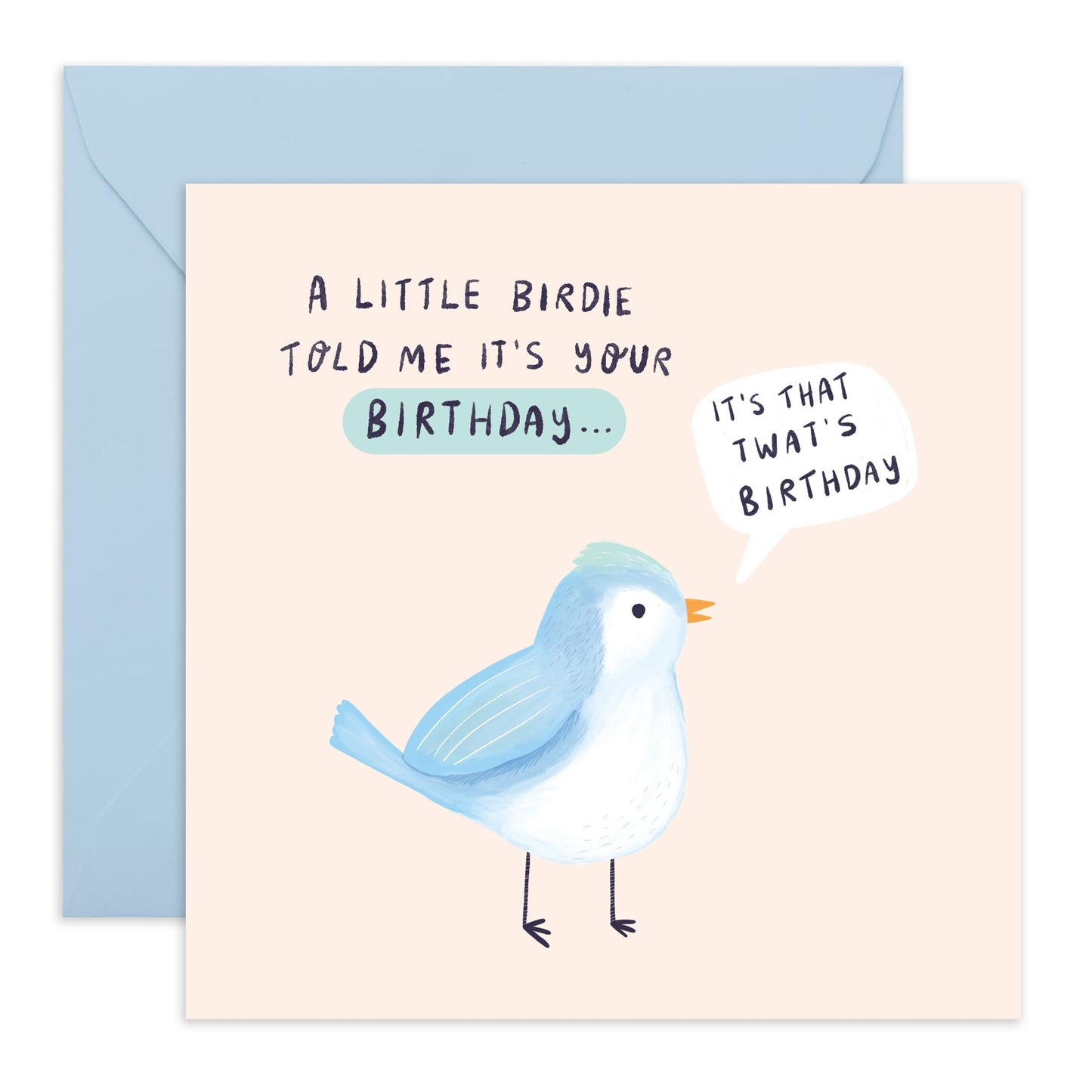 Funny Bird Birthday Card - 'Birdie Birthday Tw*t' - Gifts for Friends, Coworker, Bestie, BFF, Bruv, Mates, Lad, Bro, Officemate - Talking Bird- Comes with Fun Stickers