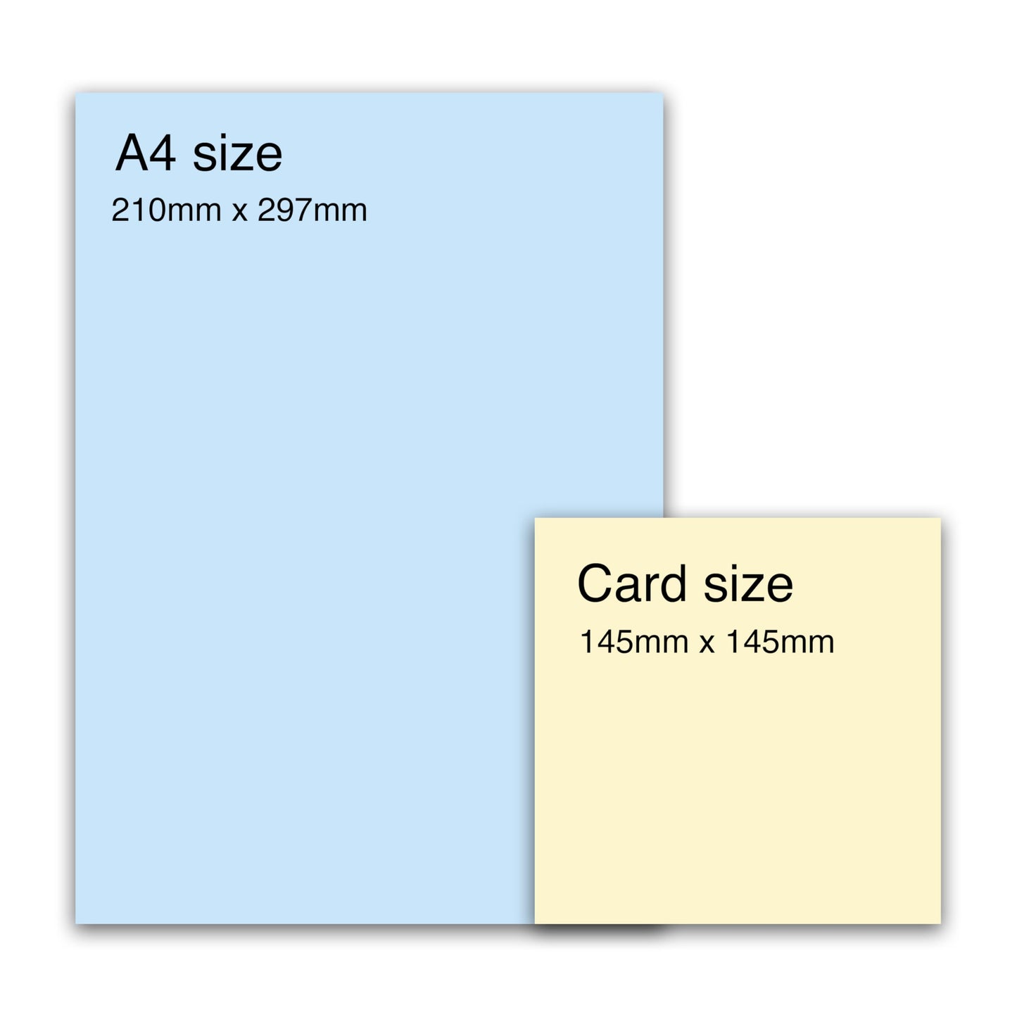 Sweet Birthday Card on Great Friendship - 'Friends Forever Old' -Best Friends, Besties, BFF, Girlfriends, Ladies, Partners, Retired, Colleagues, Sister, Sis - Growing Old - Comes with Fun Stickers