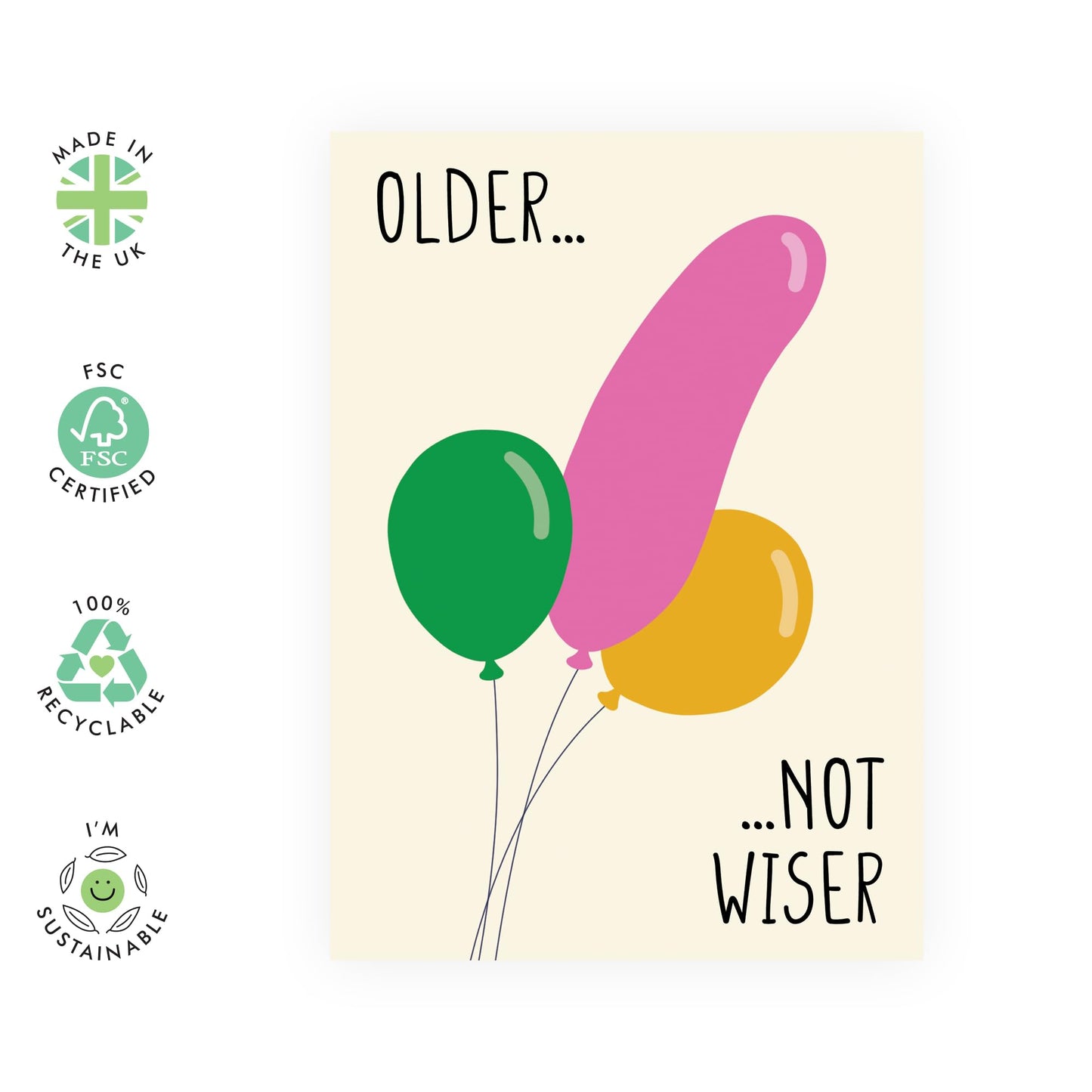 Funny Birthday Card For Men - Older Not Wiser - Naughty Birthday Cards For Him - Son Birthday Card Adult - Gifts For Husband Boyfriend Friend - Comes With Stickers - By Central 23