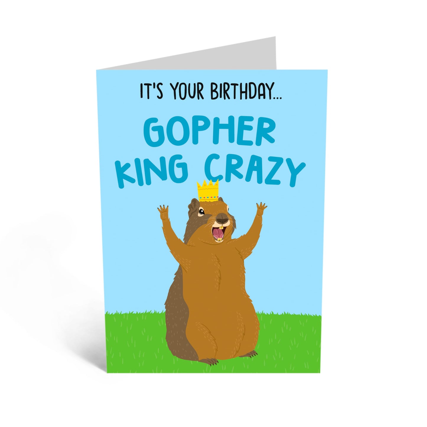 Quirky Greeting Card - 'BIRTHDAY GOPHER KING CRAZY' - Perfect for Celebrating Someone with a Fun and Unique Personality - A Playful Way to Mark Their Special Day - Comes With Stickers By Central 23