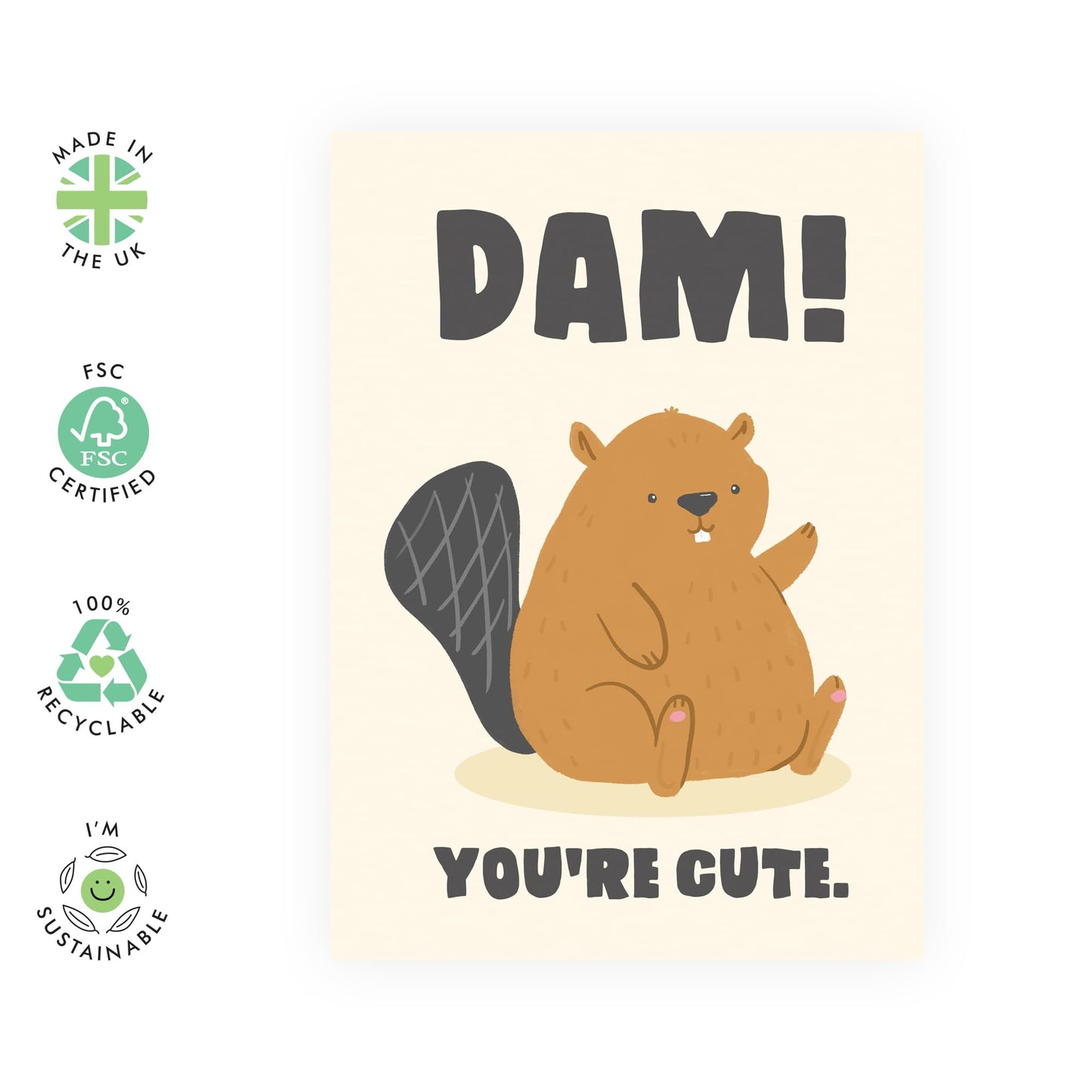 Appreciation Cards For Her Him - Dam You're Cute Beaver - Thank You Greeting Cards For Dad Mum - Gift For Men Women - Sister Brother - Best Friend - Comes With Stickers - By Central 23
