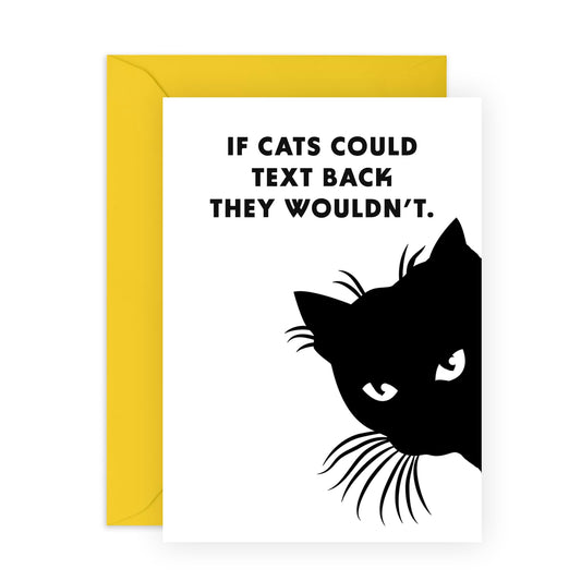Cat Birthday Card For Women - If Cats Could Text Back - Humour Funny All Occasion - Humorous Greeting Cards For Men - Pet Owners - Comes With Stickers - By Central 23