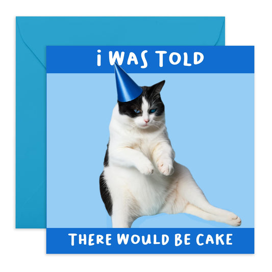 Hilarious Cat Birthday Card - 'Told There Were Would Be Cake' - Jokes for BFFs, Best Friends, Buddies, Mates, Bruv, Bro, Sis, Family, Colleagues, Coworkers - Fat Cat - Comes with Fun Stickers