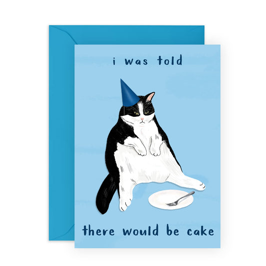 Cat Birthday Card Funny - 'I Was Told There Would Be Cake' - Cheeky Birthday Cards for Mum Dad Sister - Friends Birthday Card for Her Him - Comes with Fun Stickers - 4.7 x 6.7 - By Central 23