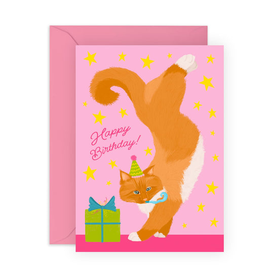 Birthday Card For Pet Owners - Birthday Ginger Cat - Cheeky Greeting Cards For Sister Friend - For Fur Mum Dad - Greeting Cards For Fur Parents - Comes With Fun Stickers By Central 23
