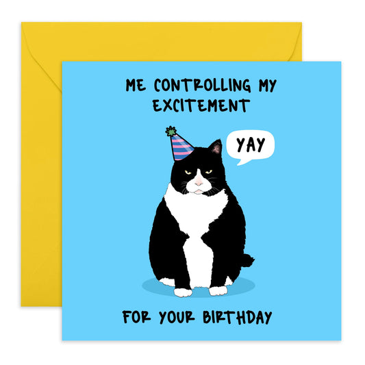 Cute Cat Birthday Card - 'Controlling My Excitement' - Gift for Son, Friend, BFF, Nephew, Relative, Family, Sibling, Brother, Bruv - Yay - Comes with Fun Stickers