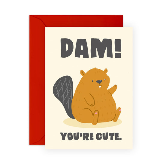Appreciation Cards For Her Him - Dam You're Cute Beaver - Thank You Greeting Cards For Dad Mum - Gift For Men Women - Sister Brother - Best Friend - Comes With Stickers - By Central 23