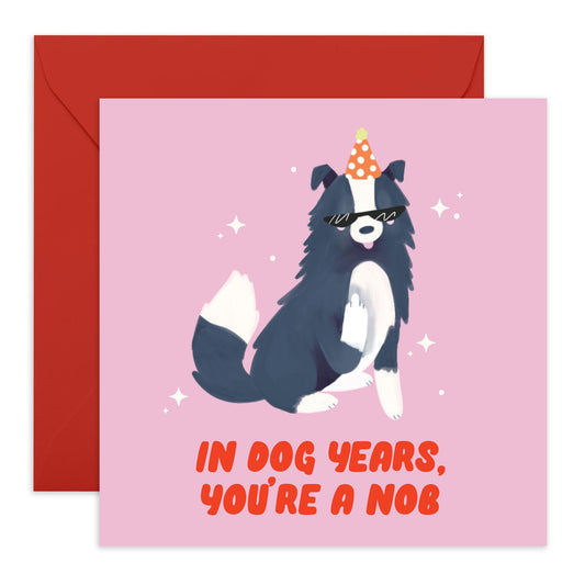 Rude Birthday Card For Men Women - In Dog Years - Funny Greeting Cards For Friends - Birthday Cards From Pet - Gifts For Dog Dad Mum - Comes With Stickers - By Central 23