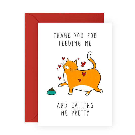 Funny Birthday Card From The Pet - Thank You For Feeding Me - Thank You Card Cat - Humorous Cards For Men And Women - Cat Mum Or Dad - Comes With Stickers - By Central 23