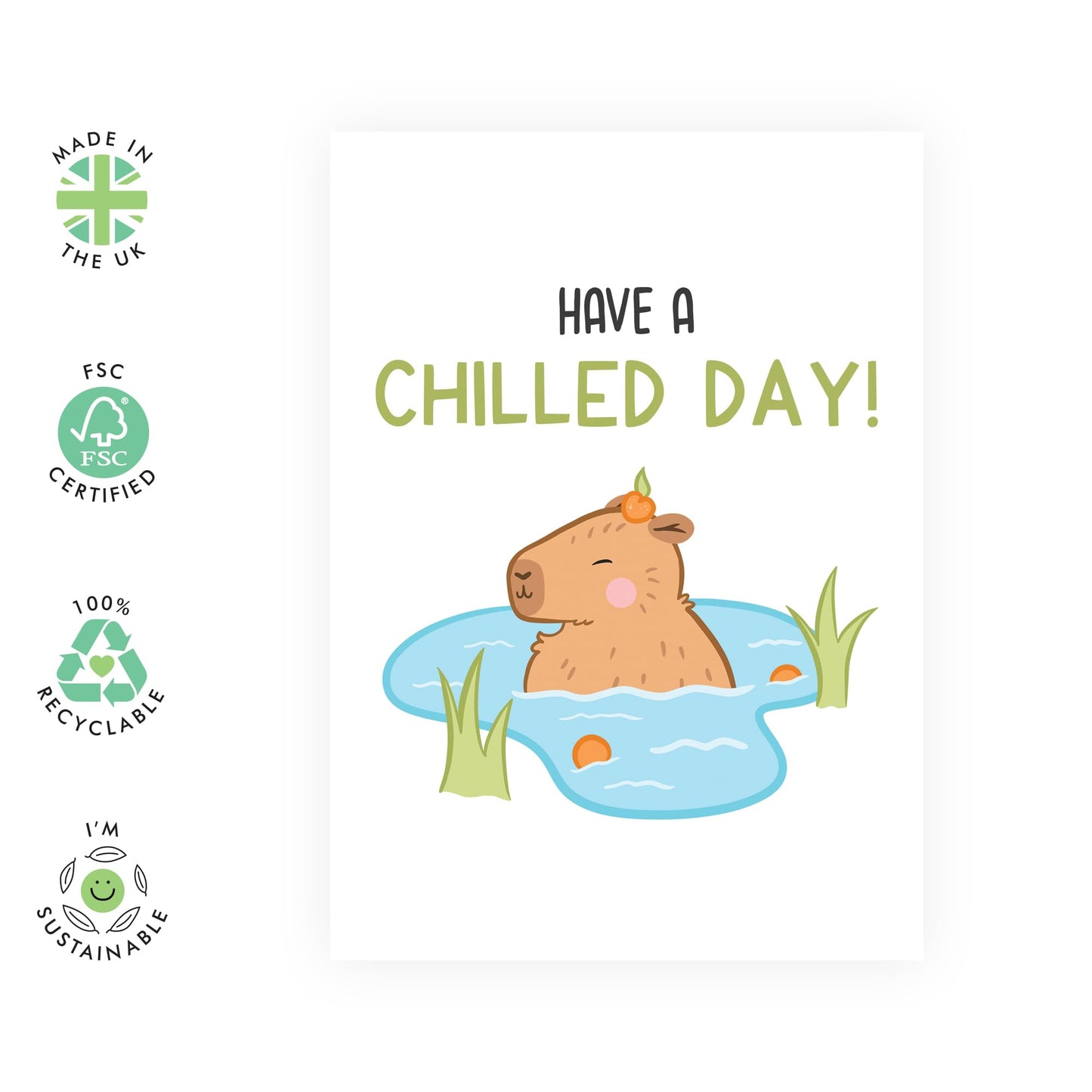 CENTRAL 23 Capybara Greeting Cards For Men - Have A Chilled Day - Funny Birthday Cards For Women - All Occasion Cards For Aunt Uncle Sister - Dad Jokes Father’s Day Card - Comes With Stickers