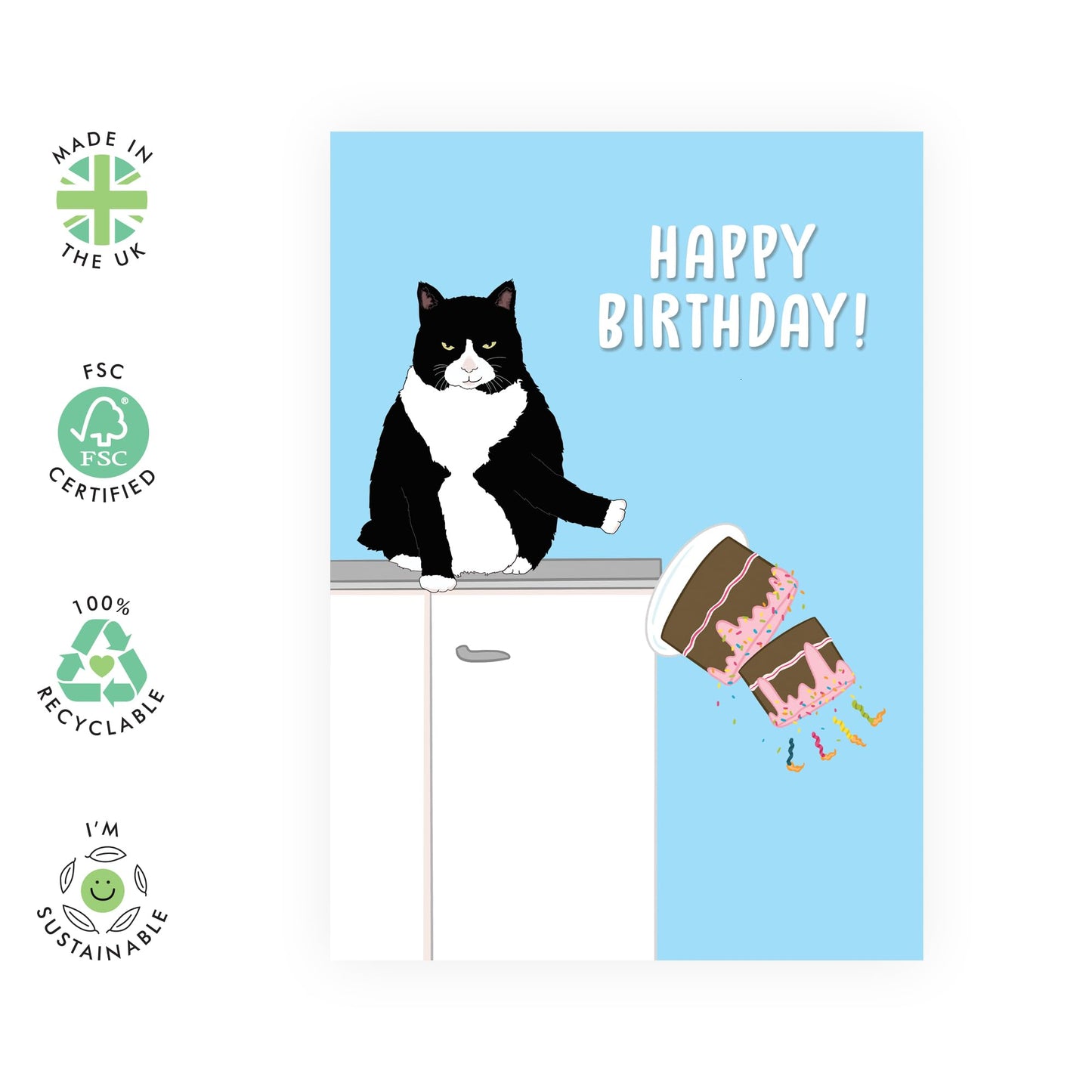 Birthday Cards For Him Her - Angry Cat Birthday Pushing Cake - Birthday Cards For Mum Dad - Gift From Friend - Greeting Cards For Sister Brother - Friend- Comes With Stickers - By Central 23
