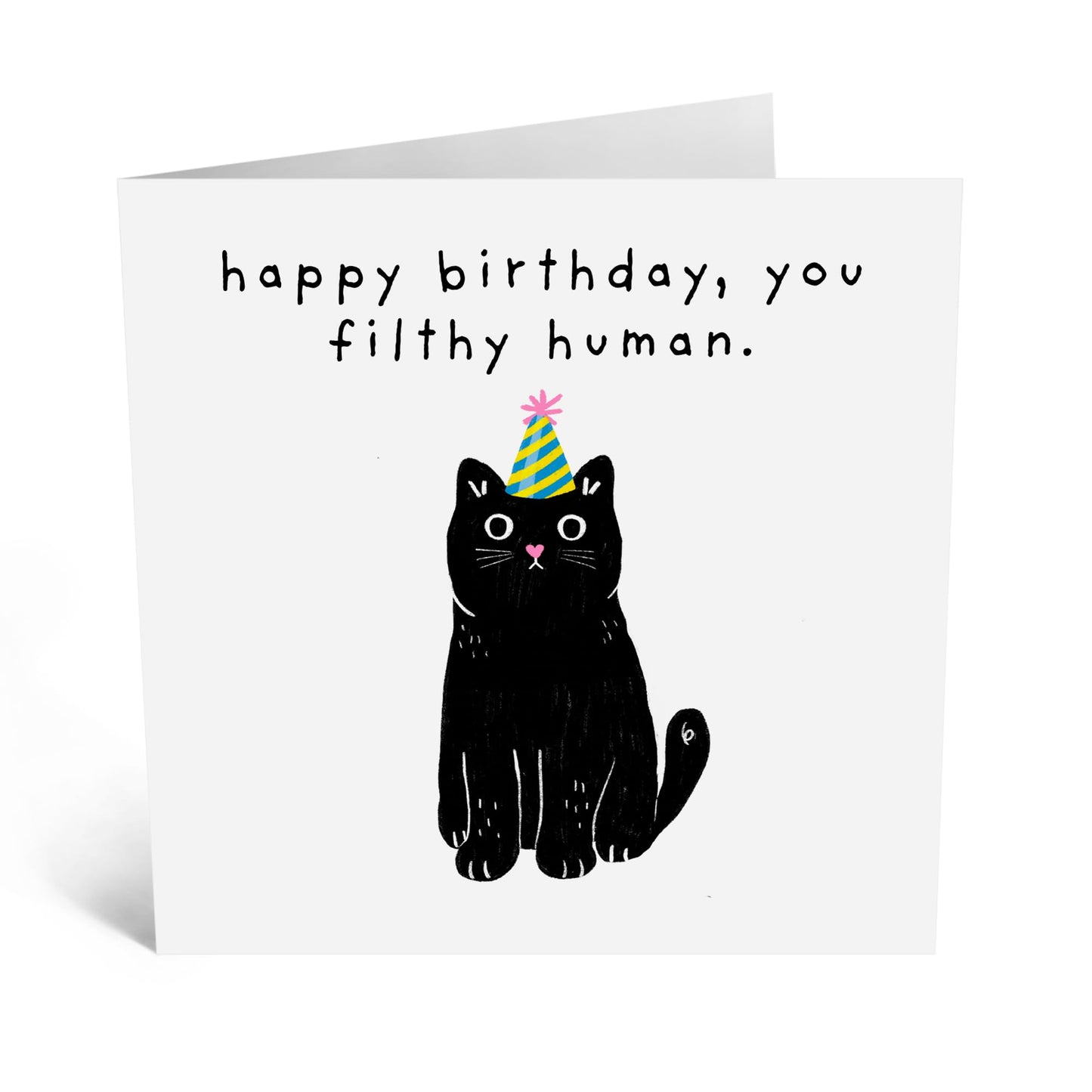 Funny Birthday Card - 'FILTHY HUMAN, CAT!' - Perfect for Celebrating Cat Lovers' Birthdays with a Sassy Twist - Ideal for Friends Family Cat Owners BFFs Besties - Comes With Stickers By Central 23
