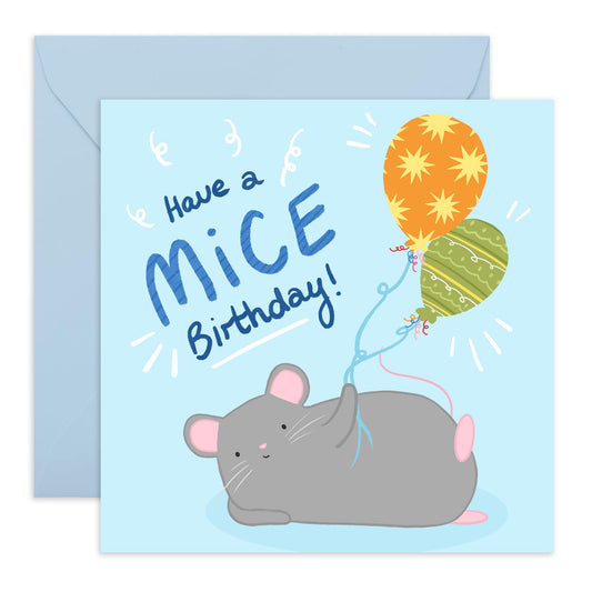 Kids Birthday Cards - Have A Mice Birthday Mouse - Baby Milestone Cards - Birthday Card Boys Girls - Gift For Son Daughter Niece Nephew - Gift From Mum Dad - Comes With Stickers By Central 23