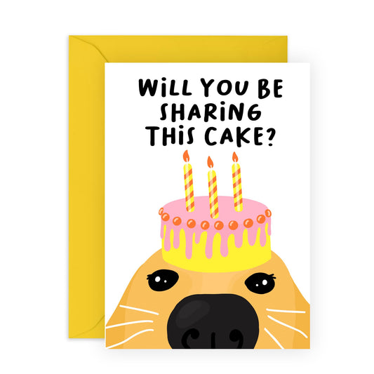 Dog Birthday Card - Will You Be Sharing This Cake - Celebration - Cute Birthday Greeting Cards For Men Women - Dog Mum Dad Gifts - For Dog Lovers - Comes With Stickers - By Central 23