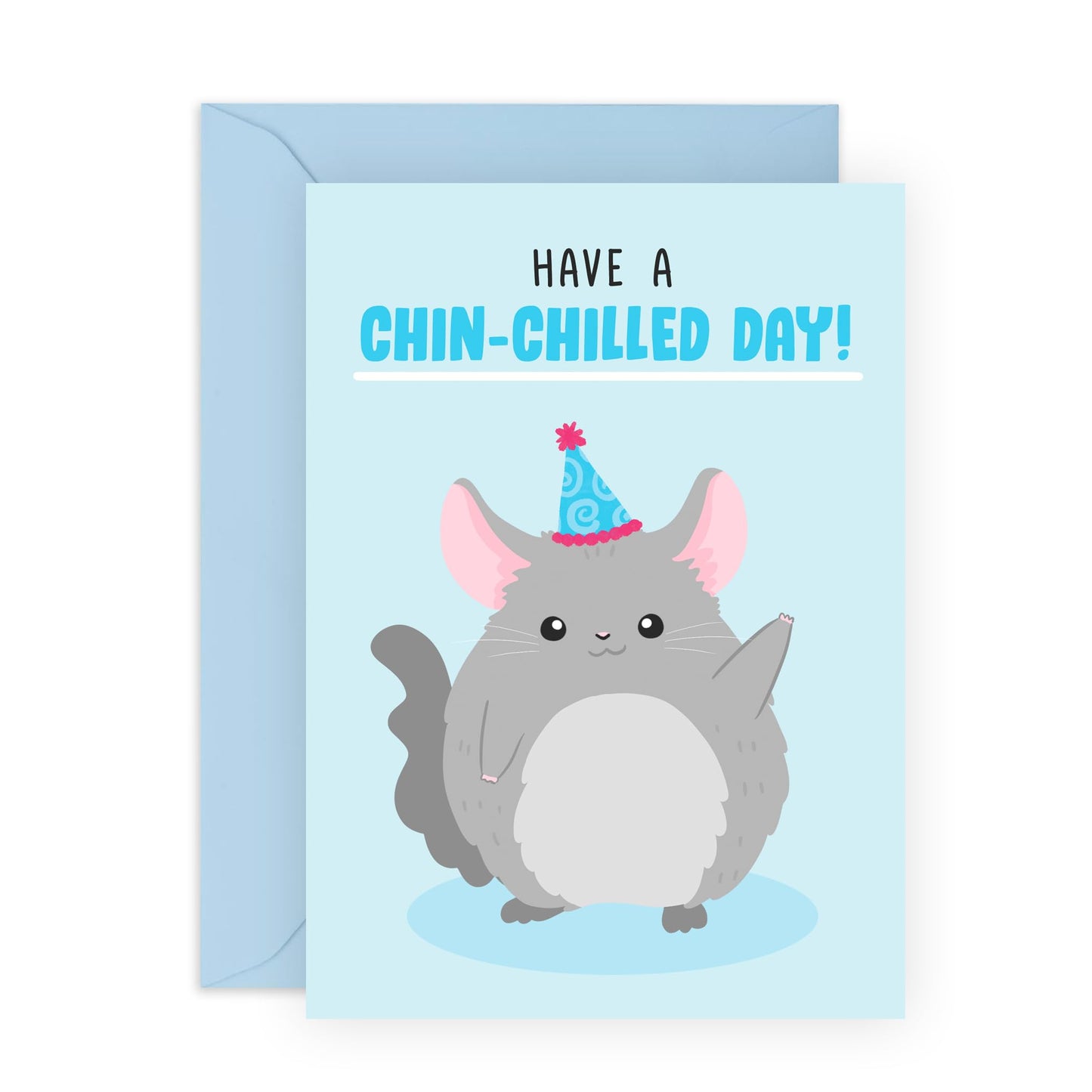 Birthday Cards For Him Her - Have A Chilled Day Chinchilla - Birthday Cards For Mum Dad - Boys Girls - Gift From Friend - Greeting Cards For Sister Brother - Comes With Stickers - By Central 23