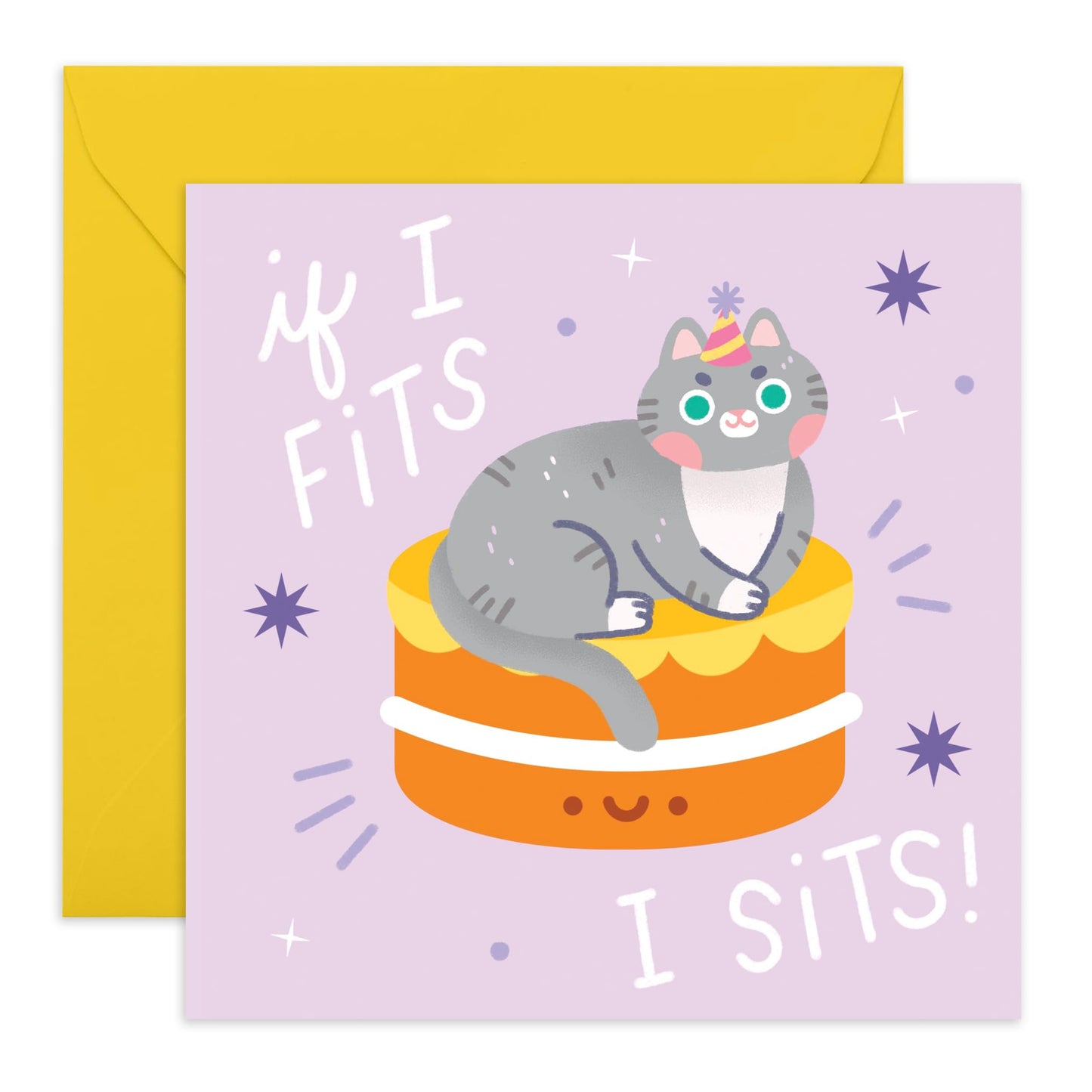 Cat Birthday Cards For Women - If I Fits I Sits - Funny Greeting Cards For Her - Gifts For Cat Lady Fur Parent Cat Mum Pet Owners - Comes With Stickers - By Central 23