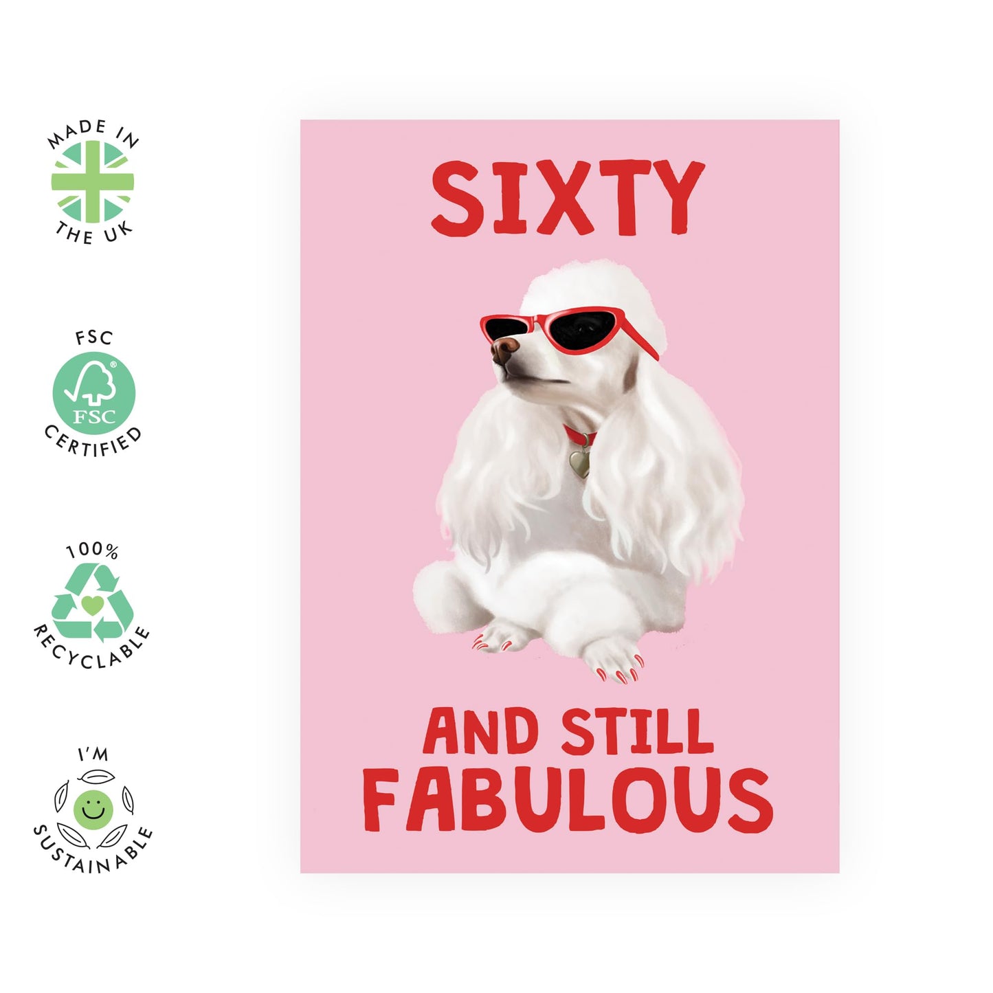 60th Birthday Card For Women - Sixty And Still Fabulous Dog - Wife Mum - Sister - Happy Sixtieth Birthday Greeting Card Female Friends - Comes With Fun Stickers - By Central 23