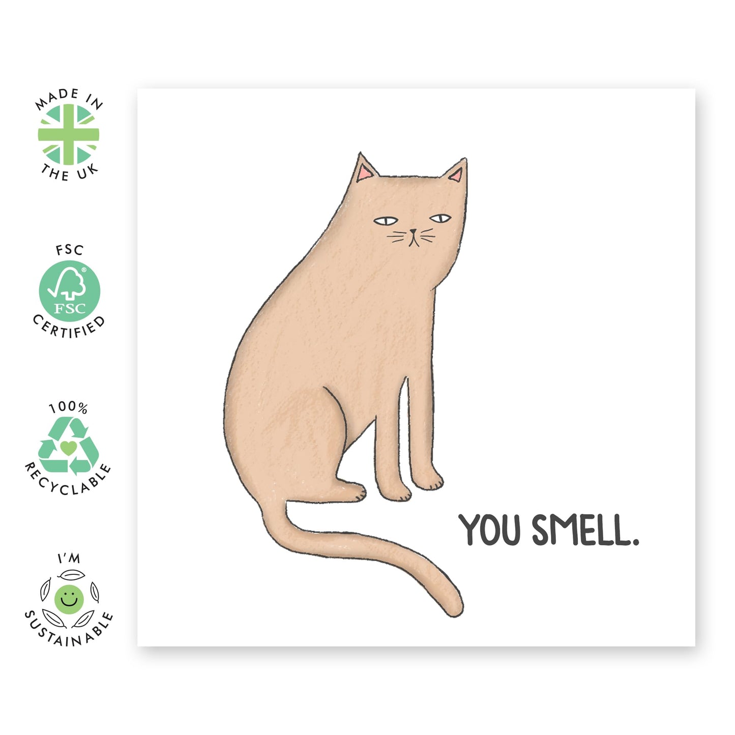 Funny Cat Birthday Card - You Smell - Cheeky All Occasion Card For Men And Women - Birthday Card For Sister Brother - Best Friend - Comes With Fun Stickers - By Central 23
