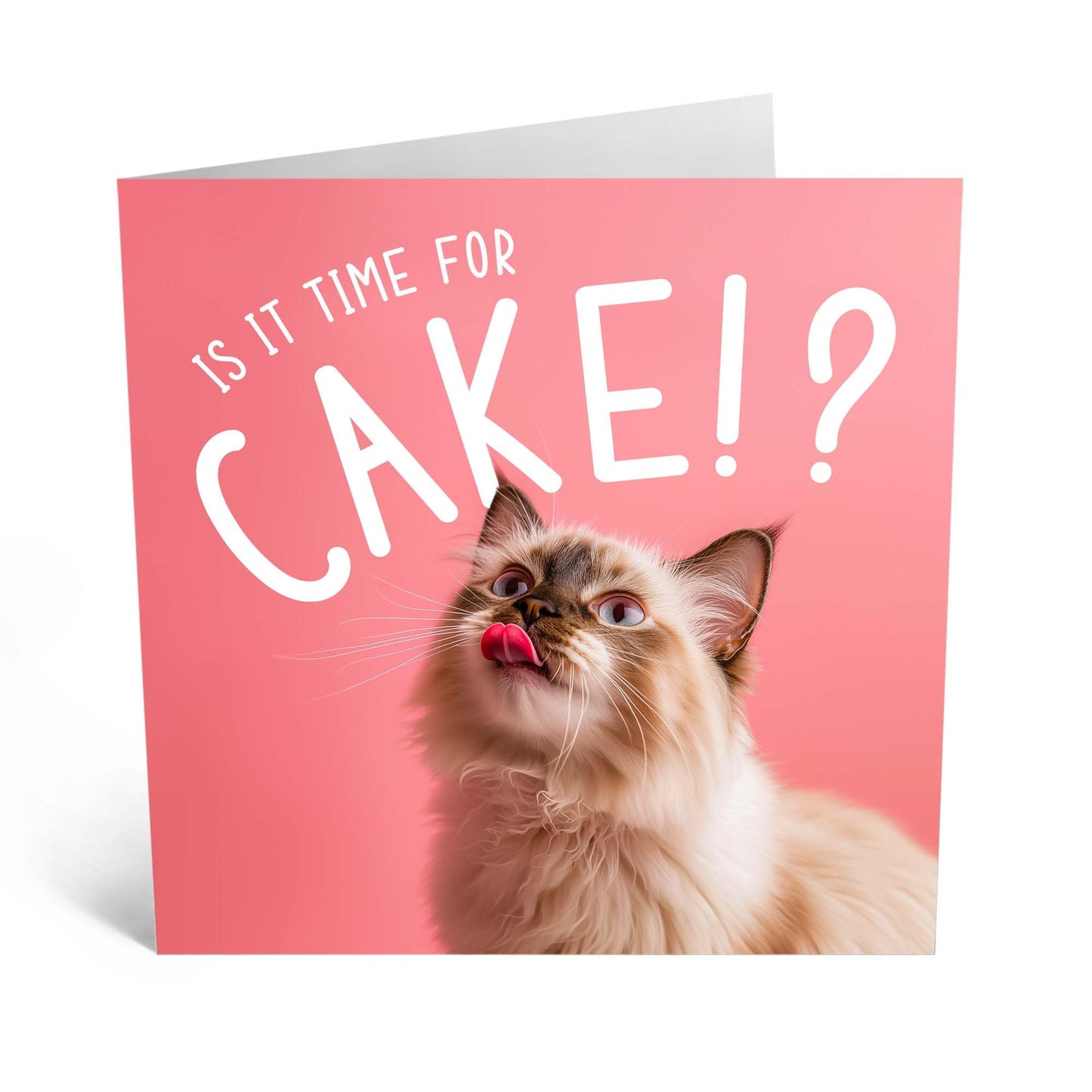 Birthday Card - 'IS IT TIME FOR CAKE? CAT' - Perfect for Celebrating Cat Lovers - Ideal for Him, Her, Friends, Family, or Anyone Who Loves Feline Fun and Birthdays - Comes With Stickers By Central 23