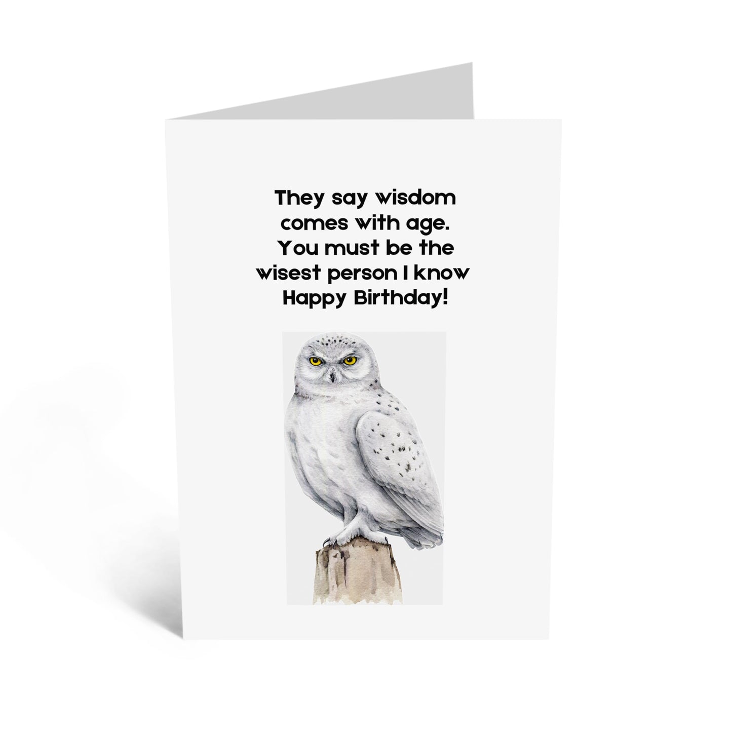 Heartfelt Birthday Card - 'WISEST PERSON I KNOW' - Celebrate Their Wisdom and Insight with This Card - Perfect for Thoughtful Touch to Their Birthday - Includes Envelope and Stickers by Central 23