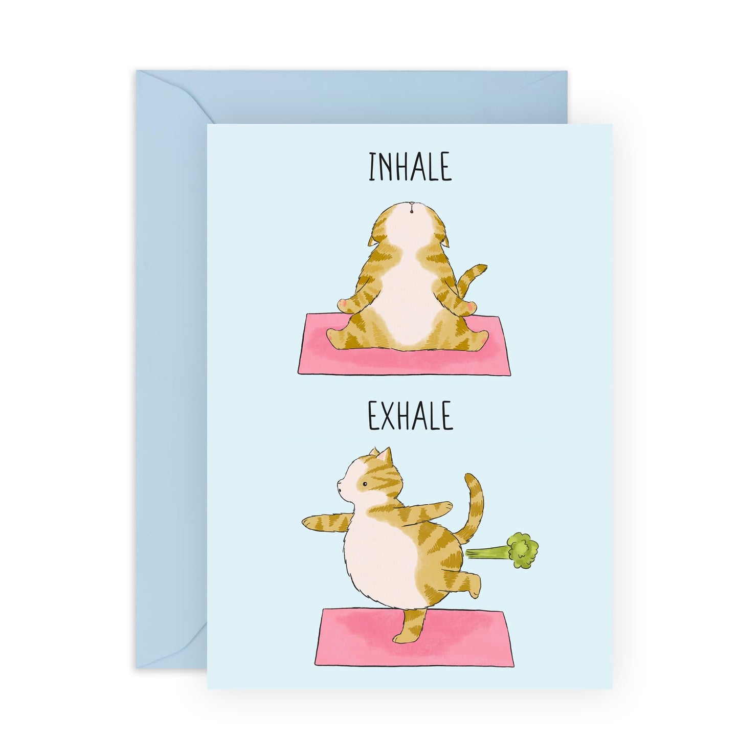 Funny Stretching Cat Birthday Card - 'Sh*t You Are Old' - Gifts for Yoga Buddies, Bestie, Best Friend, Partner, Sister, Brother, Colleague, Co-worker, Sister, BFF - Exhale - Comes with Fun Stickers