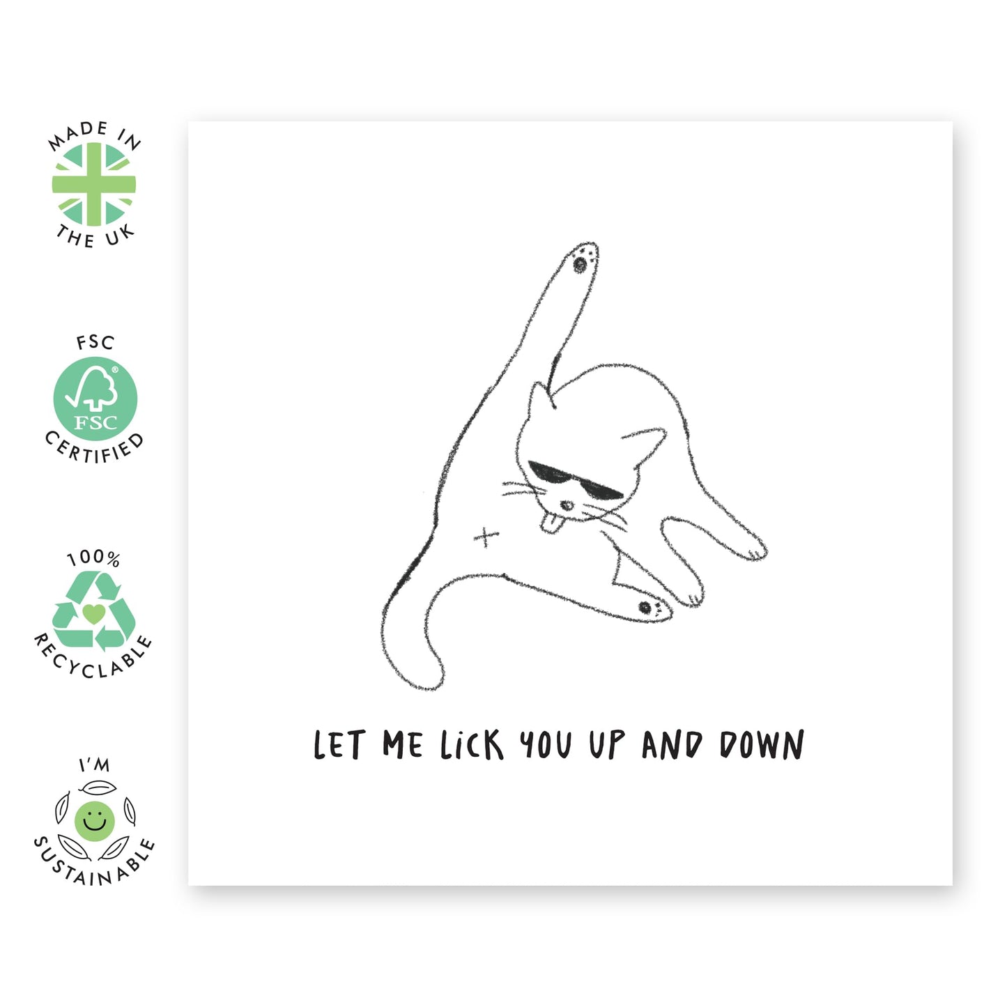 Cat Birthday Cards For Women - Lick You Up And Down - Funny Anniversary Card For Wife - Girlfriend Birthday Cards - Naughty Greeting Cards For Her - Cat Mum - Comes With Stickers - By Central 23