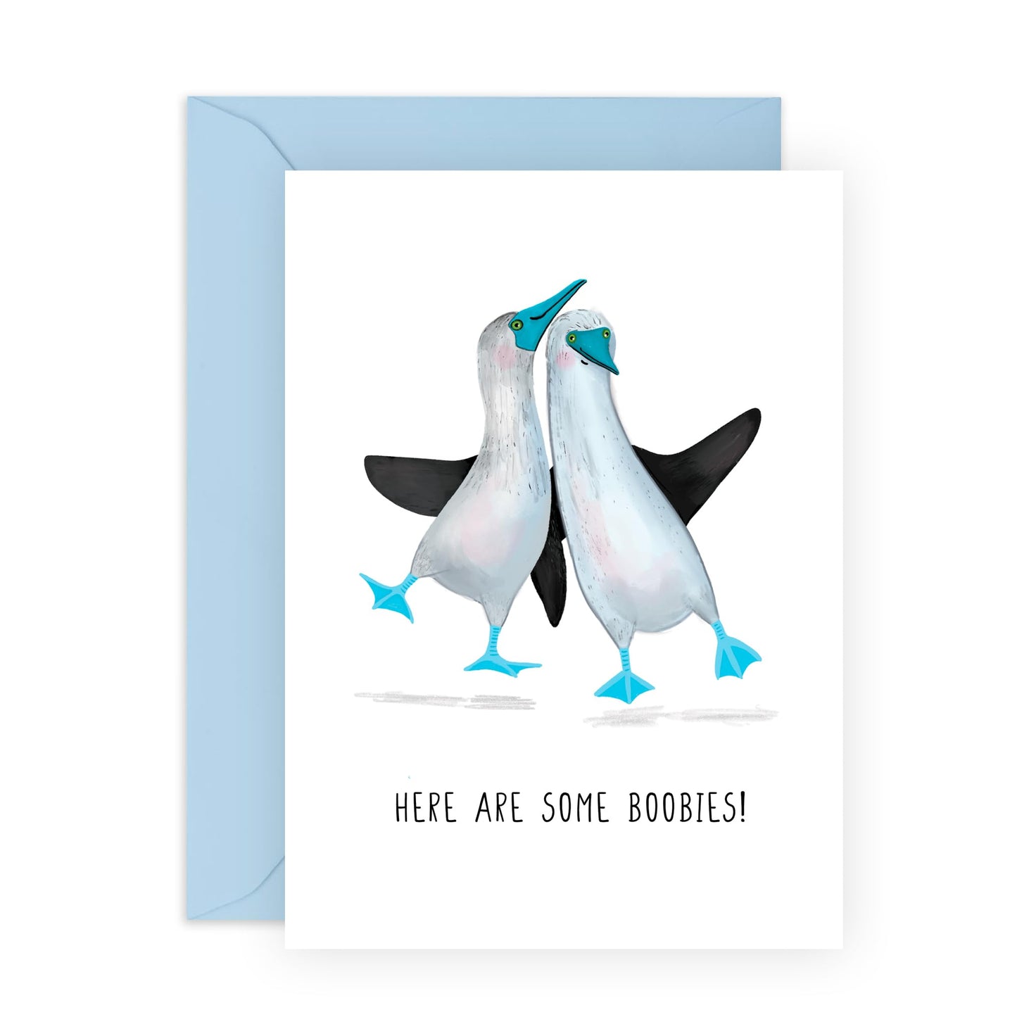 Funny Birthday Cards For Men - Here Are Some Boobies - Bird Pun Banter Humour - Anniversary Card For Husband Boyfriend - Valentine's Day Cards For Him - Comes With Fun Stickers By Central 23