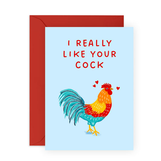 Anniversary Card For Couple - I Really Like Your Cock - Valentines Day Card Girlfriend Boyfriend - Naughty Greeting Cards - Husband Wife - Comes With Fun Stickers By Central 23