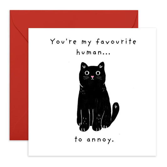 Funny Birthday Card - 'FAVOURITE HUMAN TO ANNOY!' - Perfect for Celebrating with Humor and Playfulness - Ideal for Friends Family Besties BFFs Girlfriend Boyfriend - Comes With Stickers By Central 23