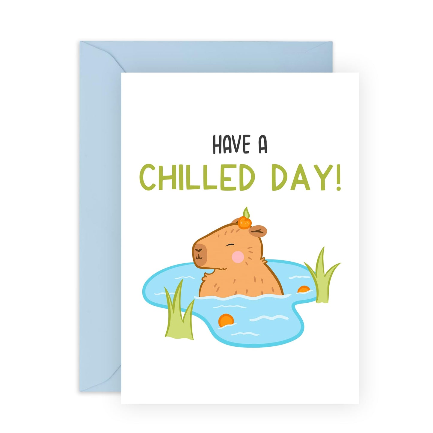 CENTRAL 23 Capybara Greeting Cards For Men - Have A Chilled Day - Funny Birthday Cards For Women - All Occasion Cards For Aunt Uncle Sister - Dad Jokes Father’s Day Card - Comes With Stickers