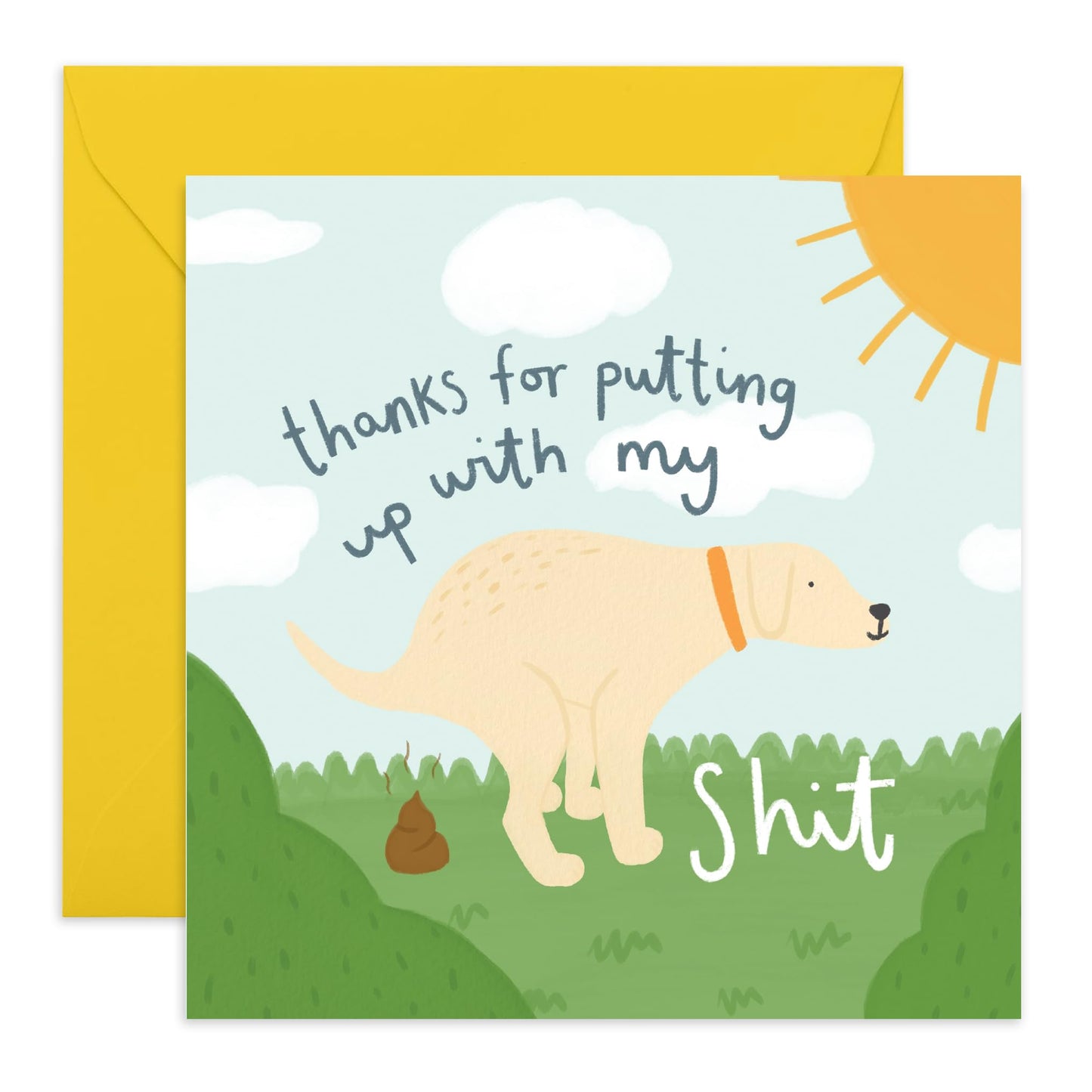 Friendship Cards Funny - Thanks Putting Up With My Shit - Hilarious Anniversary Card For Husband Wife Girlfriend Boyfriend Partner - Thank You Cards For Friends - Comes With Stickers By Central 23