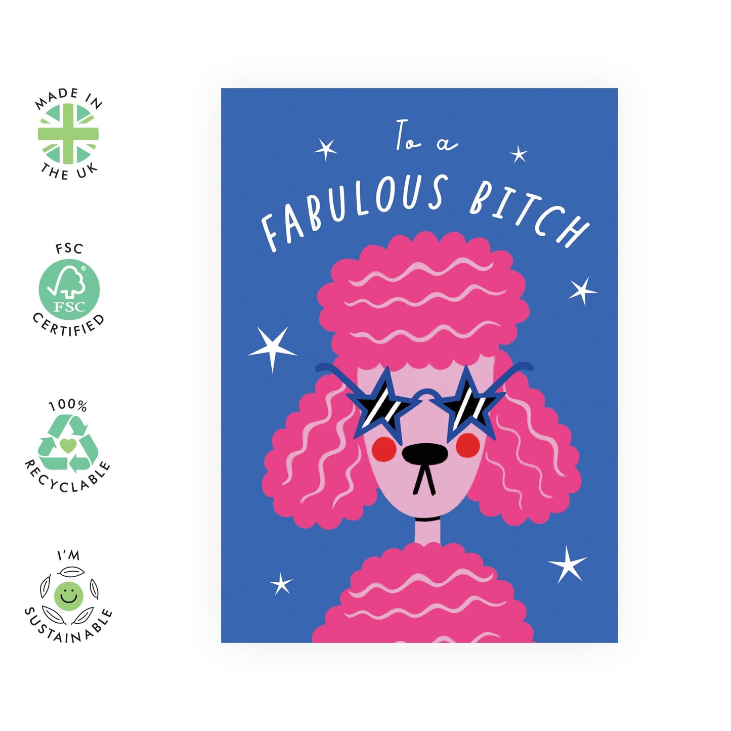 Funny Greeting Card - 'Fabulous B*tch' - Greeting to BFFs, Best Friends, Buddies, Mate, Coworkers, Colleagues, Officemates - You're Fab - Comes with Fun Stickers