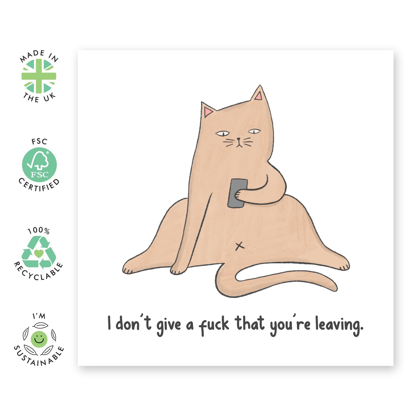 Cat Leaving Card For Men And Women - I Don't Give A F*ck That You're Leaving - Rude Leaving Gifts For Friends Colleagues - New Job Card - Retirement - Comes With Fun Stickers - By Central 23