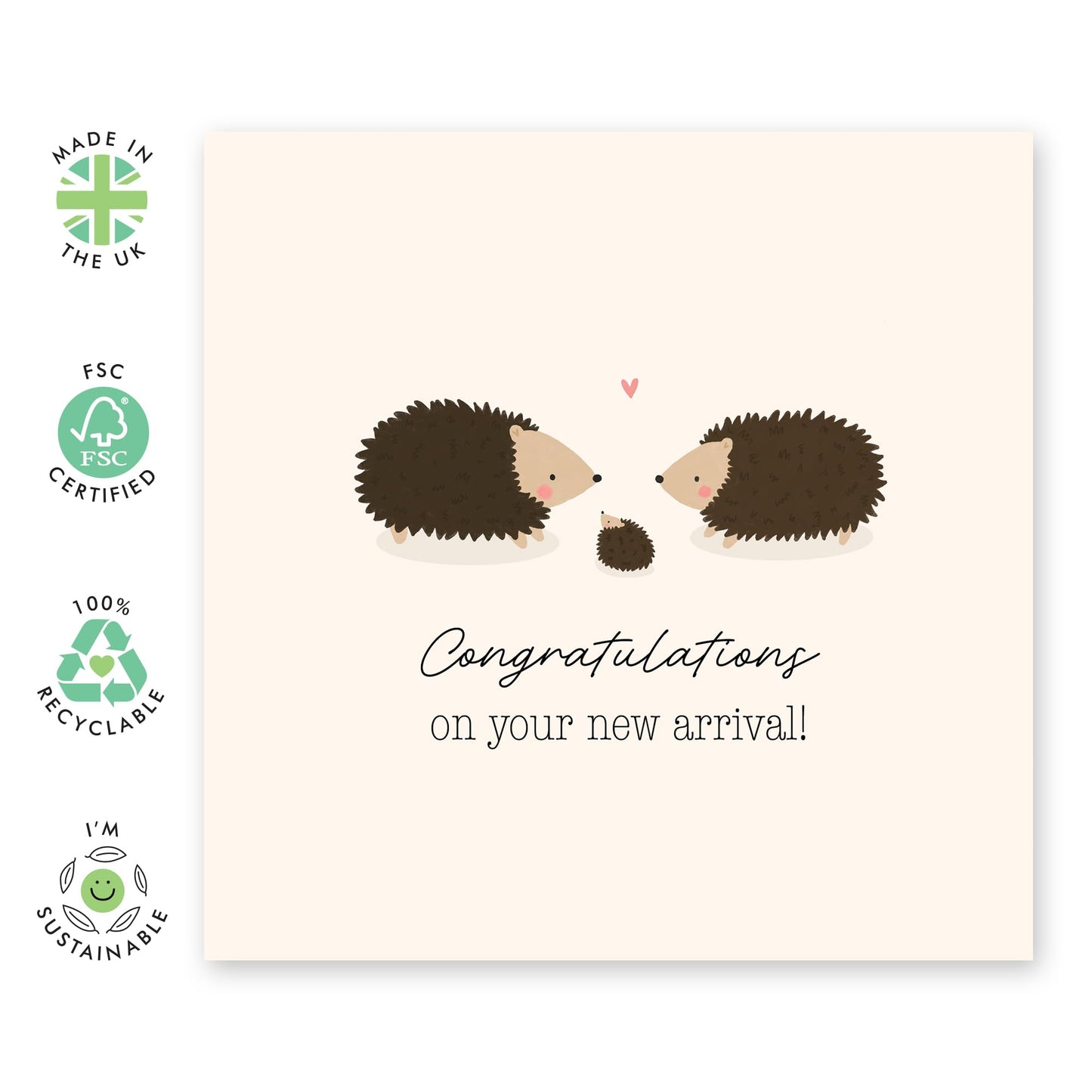 Congratulations Card for Welcoming New Baby - 'New Baby Hedgehog' - Gifts for Family, Friend, Bestie, BFF, Brother, Sister - Baby Shower - Comes with Fun Stickers