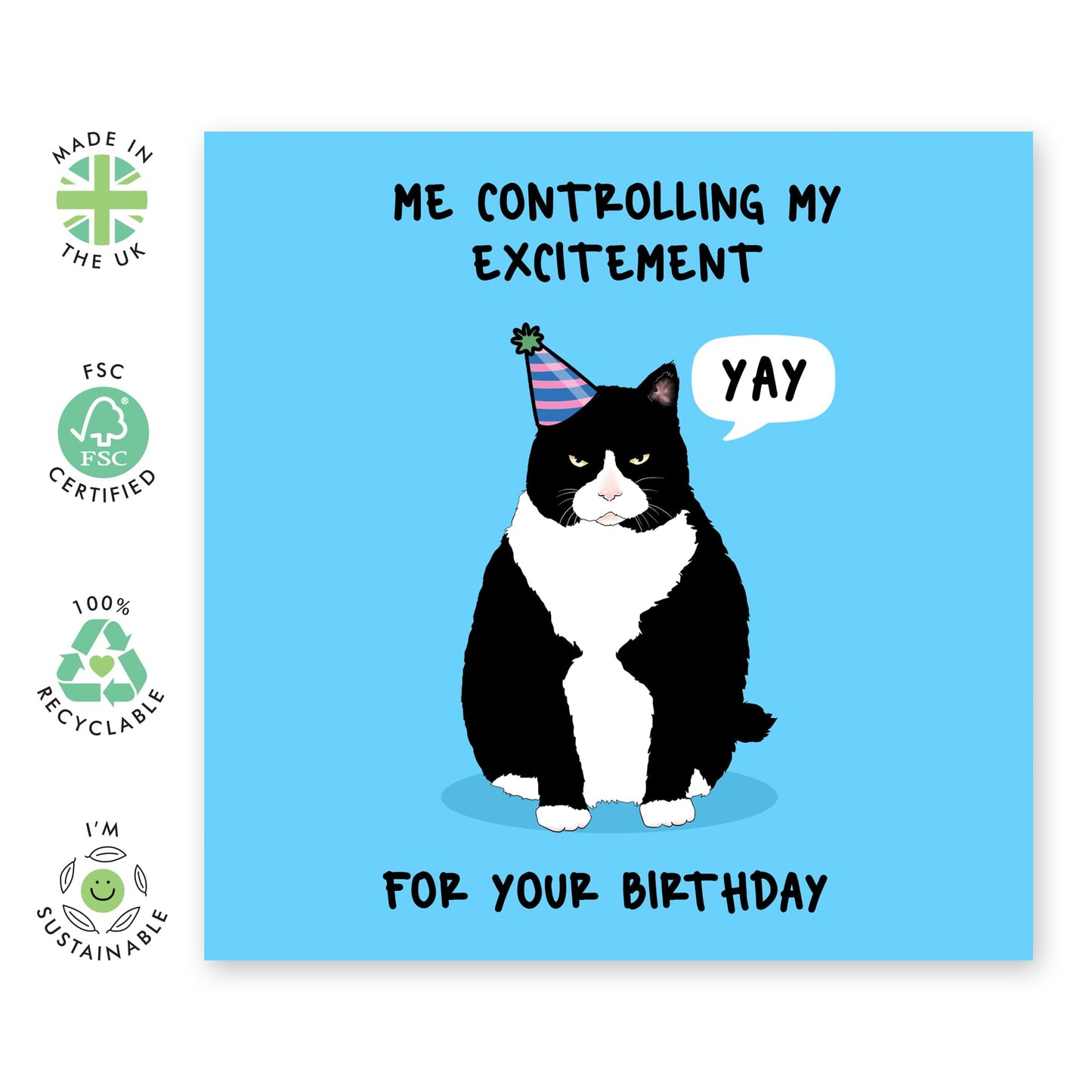Cute Cat Birthday Card - 'Controlling My Excitement' - Gift for Son, Friend, BFF, Nephew, Relative, Family, Sibling, Brother, Bruv - Yay - Comes with Fun Stickers