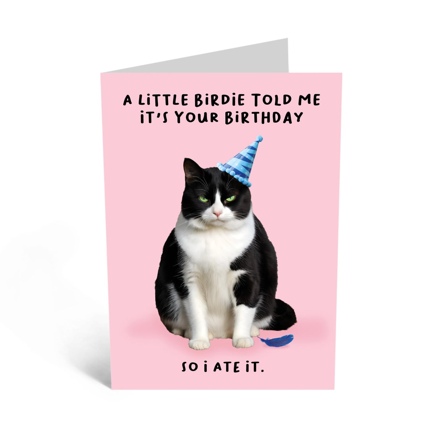 Funny Birthday Card - 'LIL BIRDIE CAT BIRTHDAY' - Ideal for Cat Enthusiasts and Those Who Loves humor - Perfect for Celebrating a Feline Friend’s Special Day - Comes with Stickers by Central 23