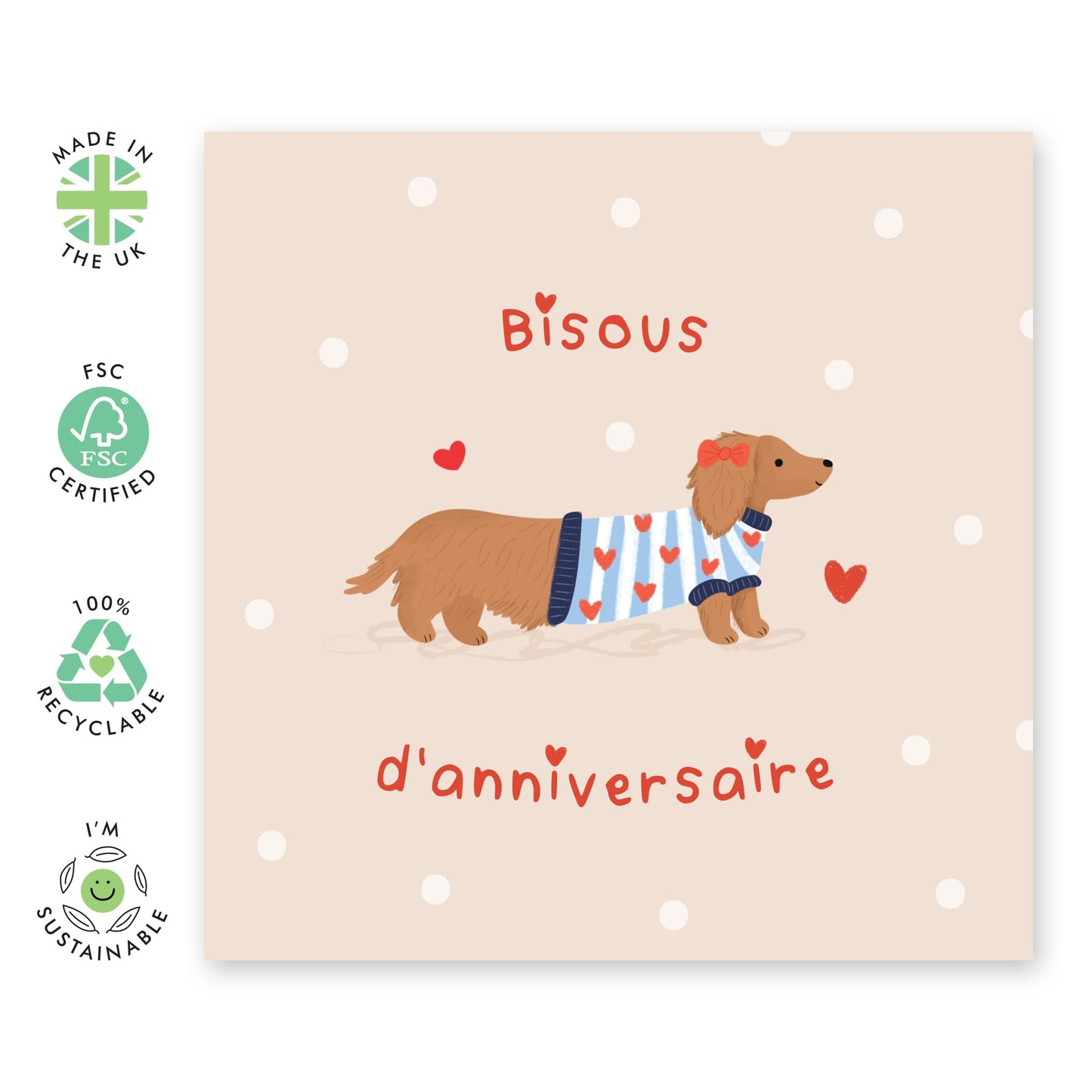 Cute French Birthday Card – "Bisous d'Anniversaire" –Sausage Dog in Sweater – Gifts for Fur Mum or Dad, Animal Lovers, Pet Owners, Dog Mama, Him, Her, Friends, Family, Colleagues -Comes with Stickers