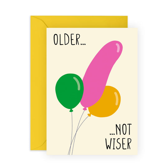 Funny Birthday Card For Men - Older Not Wiser - Naughty Birthday Cards For Him - Son Birthday Card Adult - Gifts For Husband Boyfriend Friend - Comes With Stickers - By Central 23