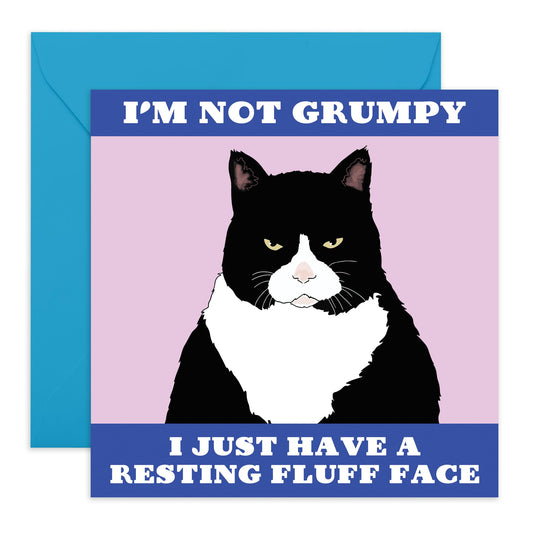 Sassy Greeting Cards For Her Women - Resting Fluff Face - Wife Birthday Card - Funny Birthday Cards For Daughter Mum Dad Nan - Hilarious Cat Gifts For Friends - Comes With Stickers By Central