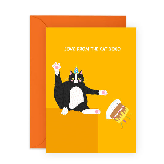 Happy Birthday Cards For Her Him - Birthday Love From The Cat - Animal Greeting Card For - Birthday Card For Men Women - Gifts For Brother Sister - Comes With Fun Stickers - By Central 23