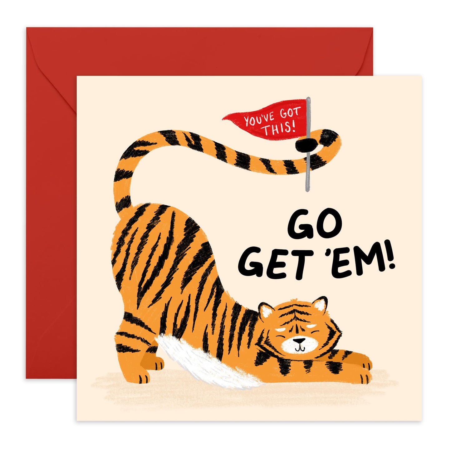 Good Luck Cards - Go Get Em' Tiger - You Can Do It Greeting Cards And Envelopes - Goodluck On Your New Job, Exam, Driving Test, Competition - Gifts For Son Daughter - Comes With Stickers By Central 23