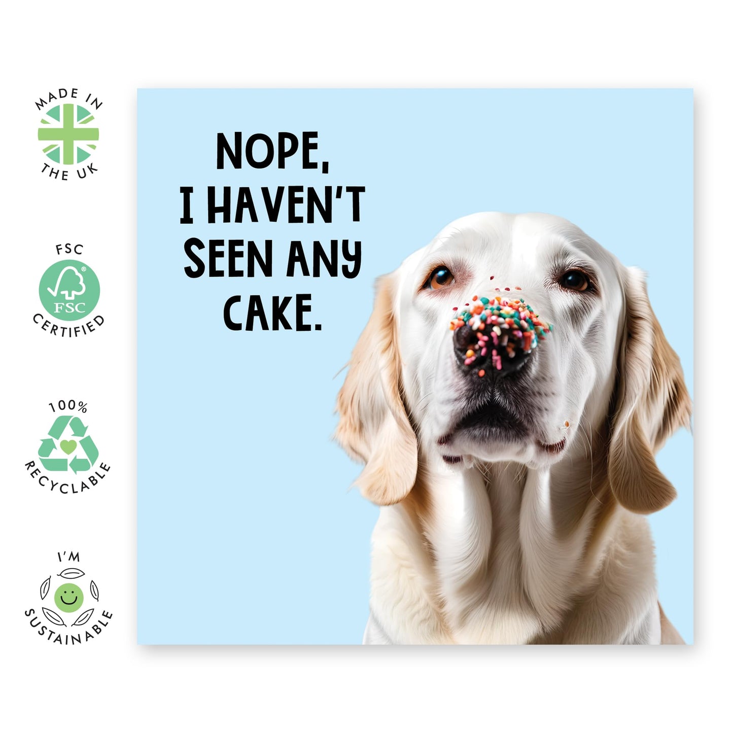 Dog Birthday Cards Funny - 'I Haven't Seen Any Cake' - Happy Birthday Card From The Dog - Cute Birthday Cards for Owners - Gifts for Dog Mum Fur Dad - Comes With Cute Stickers By Central 23