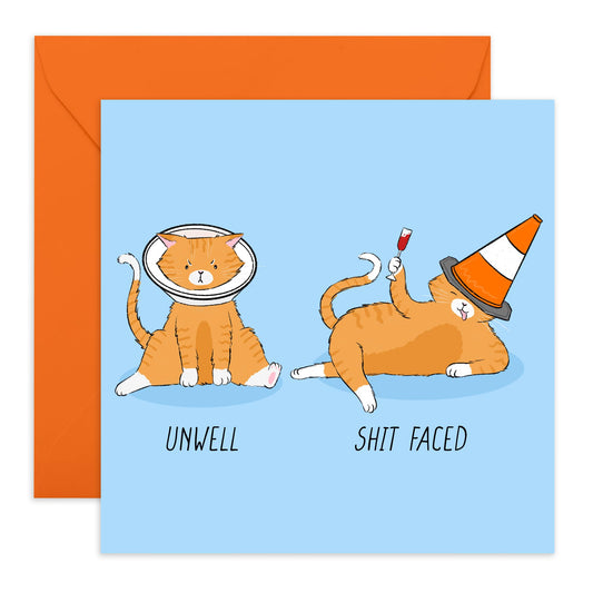 Greeting Card For Him Her - Unwell And Drunk Cat - Greeting Card For Adult - Gift For Fur Parents Dog Mum Or Dad - For Son Daughter - Comes With Stickers By Central 23