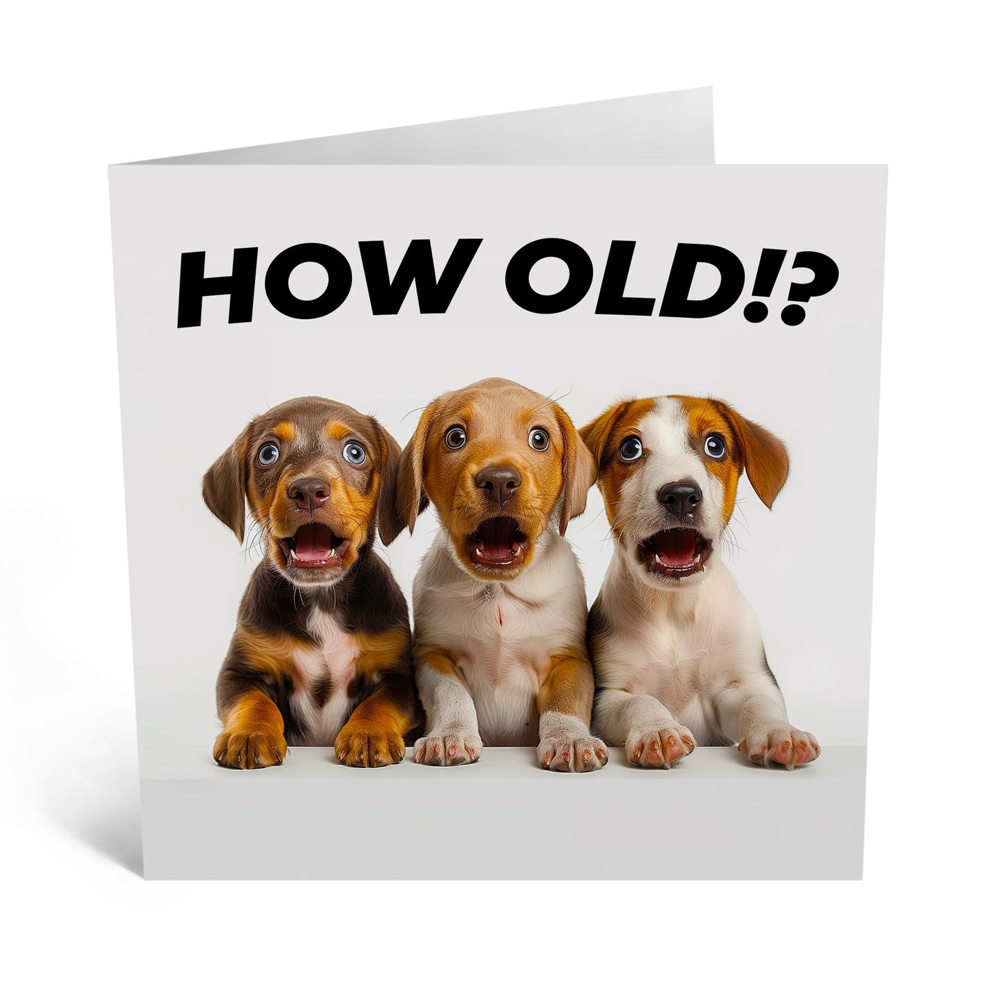 Birthday Greeting Card - 'HOW OLD?! PUPPIES' - Ideal for Celebrating Any Age with Adorable Puppy Charm - Perfect for Dog Lovers And Adding Joyful Fun to Milestones - Comes With Stickers By Central 23