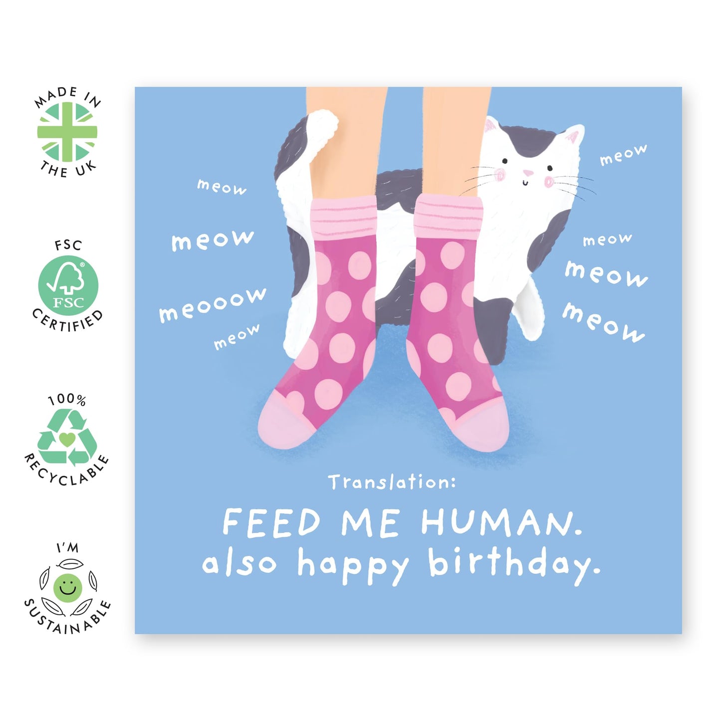 Cat Birthday Card - Meow Birthday Translation - Funny Birthday Card For Men And Women - Birthday Gifts For Cat Lovers - Birthday Card For Friends Pet Owners - Comes With Fun Stickers By Central 23