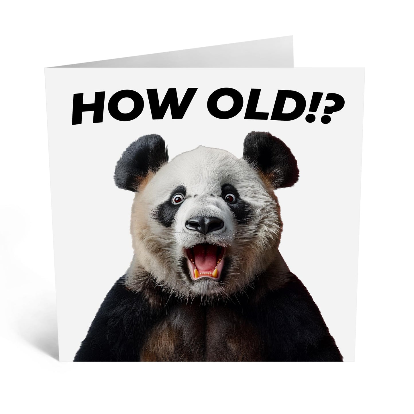 Birthday Greeting Card - 'HOW OLD?! PANDA' - Perfect for Celebrating Birthdays with a Cute Twist - Ideal for Panda Lovers and Adding Fun to Any Age Milestone - Comes With Stickers By Central 23