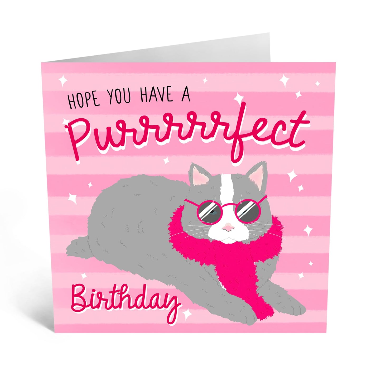 Punny Birthday Card - 'PURRRFECT CAT BIRTHDAY' - Perfect for Adding a Fun & Feline Touch to Birthday Celebrations - Ideal for Cat Lovers, Him, Her, Friends, Family - Comes With Stickers By Central 23