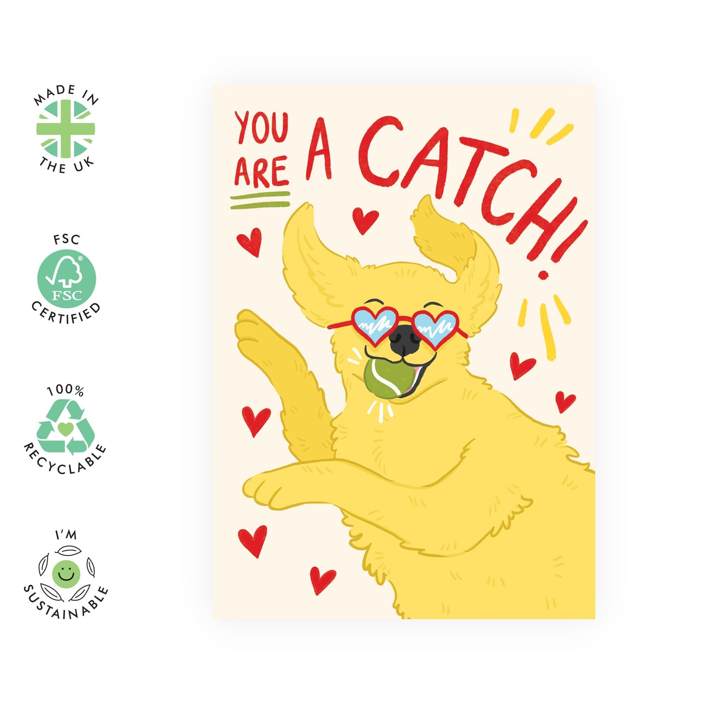 Valentines Card For Boyfriend Girlfriend - You Are A Catch Dog - Anniversary Card For Couples - For Fur Parents Mum Dad- Wedding Anniversary Card For Husband Wife - Comes With Stickers By Central 23